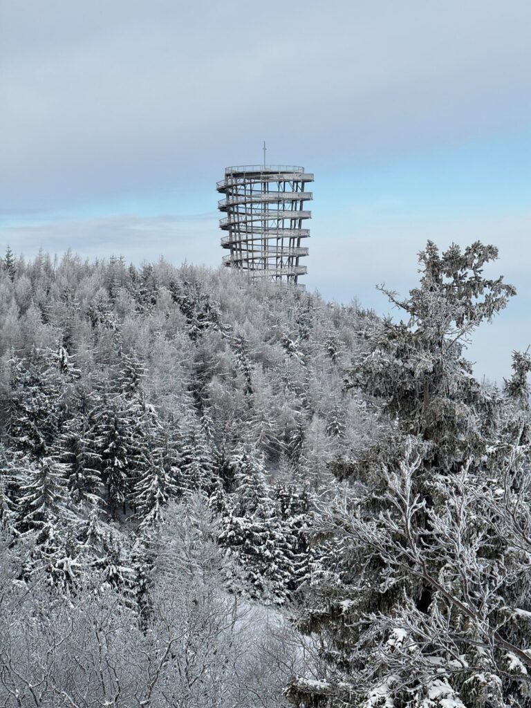 20260110 Dzikowec IMG 3959 001 social