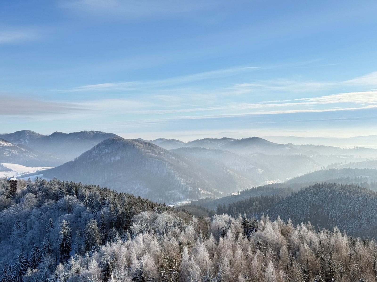 20260110 Dzikowec IMG 4060 071 social